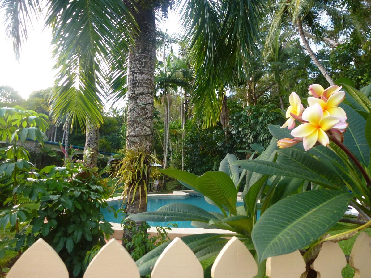 Villa Marine Holiday Apartments Cairns Yorkeys Knob Luaran gambar